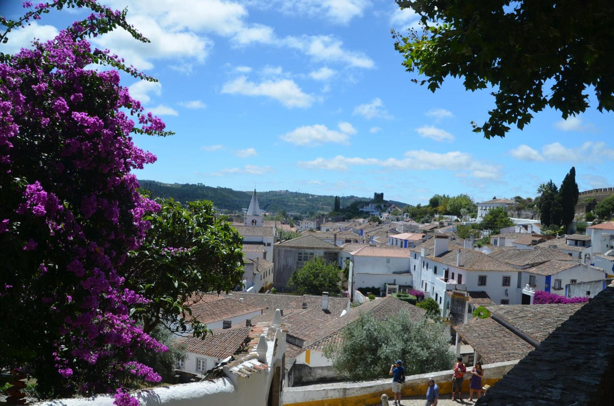 Salir de Porto Cazenn Salir Do Porto - Holiday House מראה חיצוני תמונה